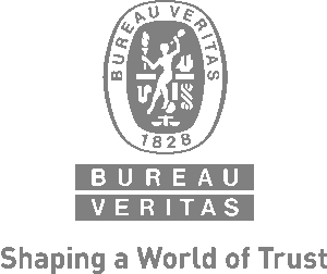 bureau-veritas_logo-grey